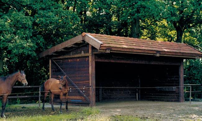 Box 2 paarden in behandeld hout